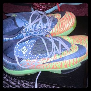 KD6